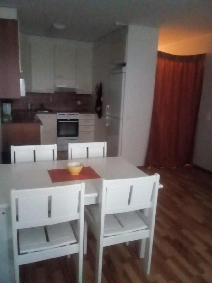 Apartment In Centrum Of Rovaniemi, Lakeview, Aurora Borealis View From Apartment Terrace And Mountain View エクステリア 写真