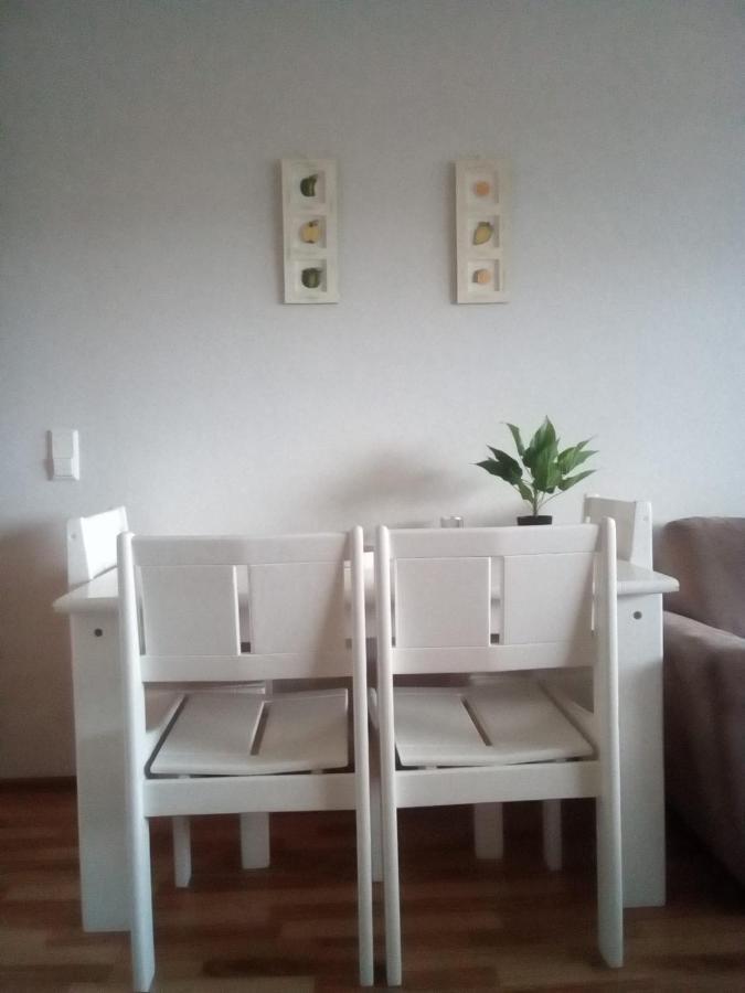 Apartment In Centrum Of Rovaniemi, Lakeview, Aurora Borealis View From Apartment Terrace And Mountain View エクステリア 写真